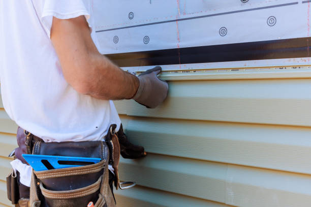 Best Custom Trim and Detailing for Siding  in Raoul, GA